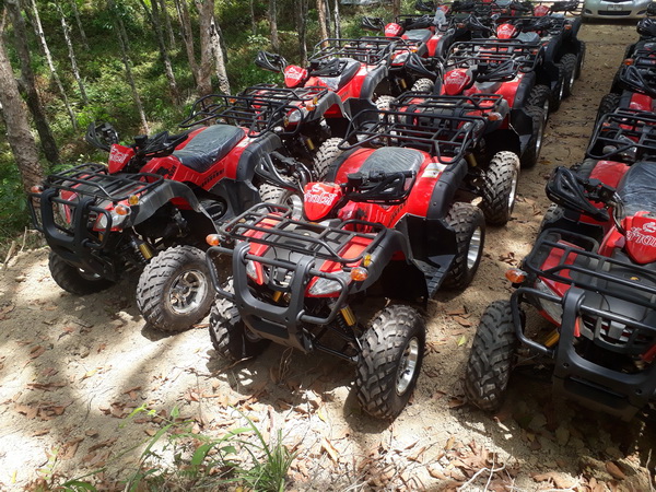 Phuket ATV 1 Hour Elephant Trekking 30 Minute Tour